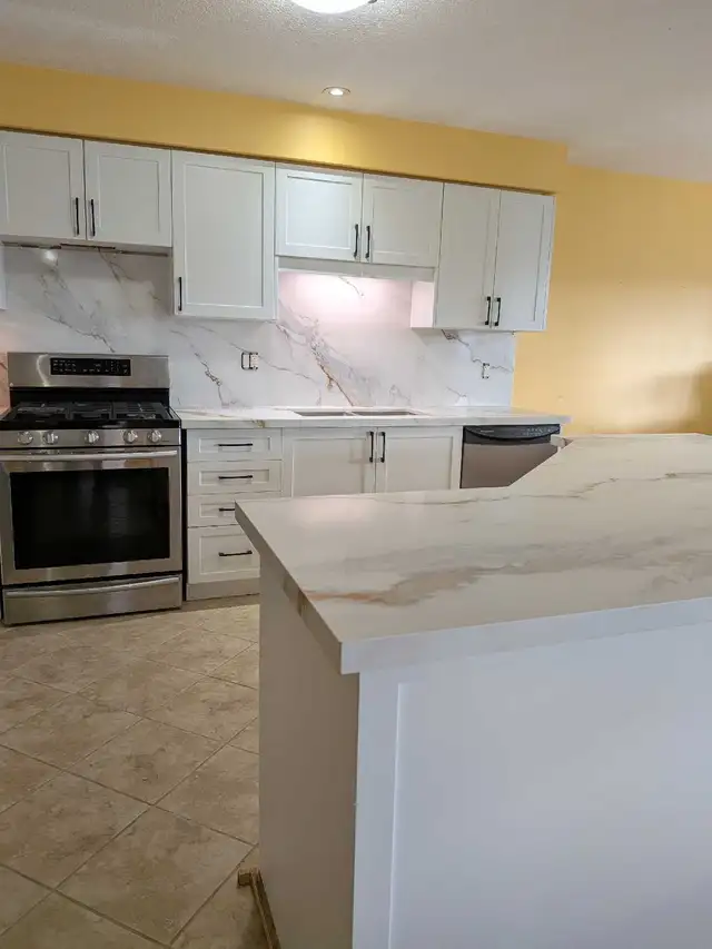 Kitchen cabinet door replacement - Photo 4