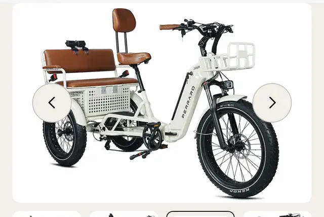 Ridex Perraro e-bike Passenger and Cargo - Photo 2