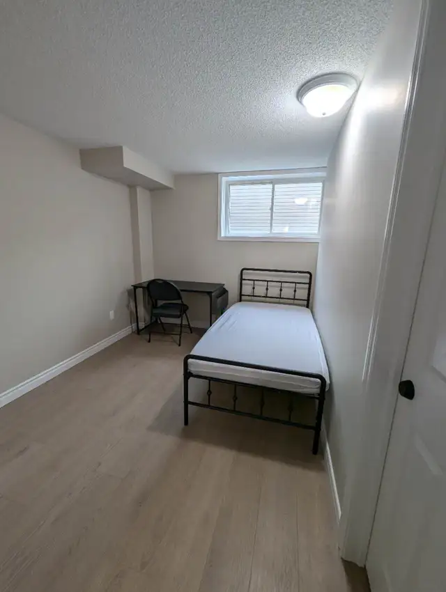 YorkU Village Room For Rent - Photo 6