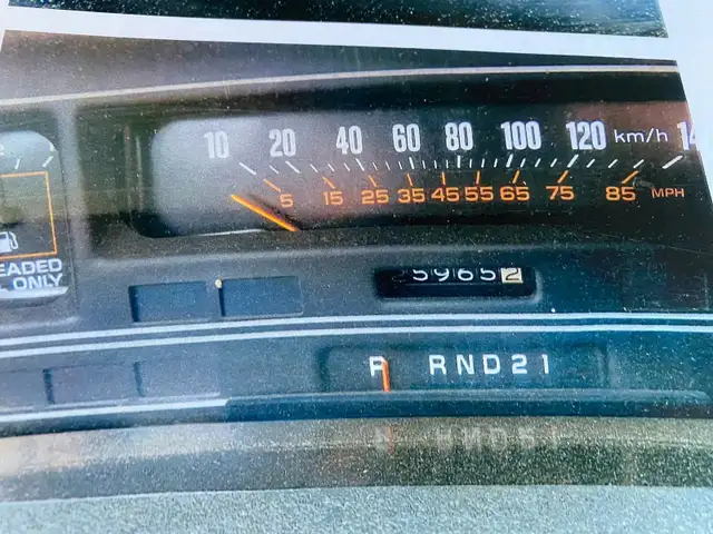 1981 El Camino SS Royal Knight - Photo 2
