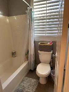 Furnished One bedroom with private bathroom attached