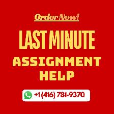 URGENT ASSIGNMENT HELP, ESSAY HELP, EXAMS, COMPLETE COURSES HELP - Photo 4