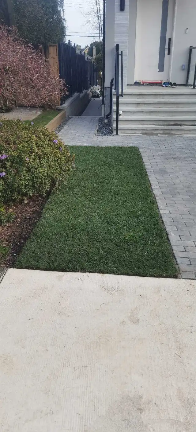 Garden and Landscape design and renovation - Photo 4