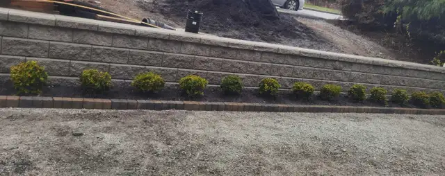 Garden and Landscape design and renovation - Photo 6