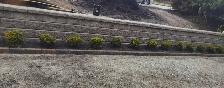 Garden and Landscape design and renovation - Photo 6
