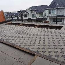 Garden and Landscape design and renovation - Photo 7