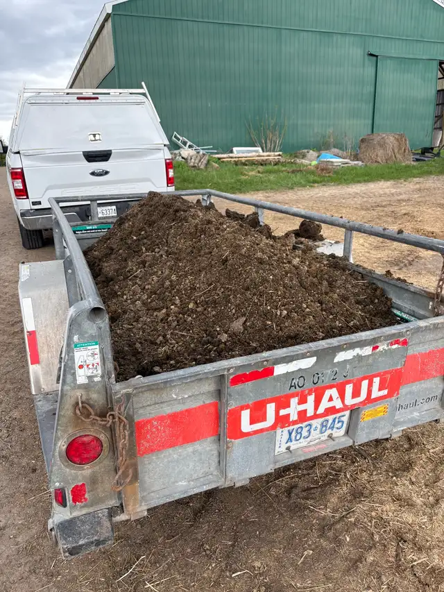 Fresh Manure