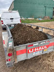Fresh Manure
