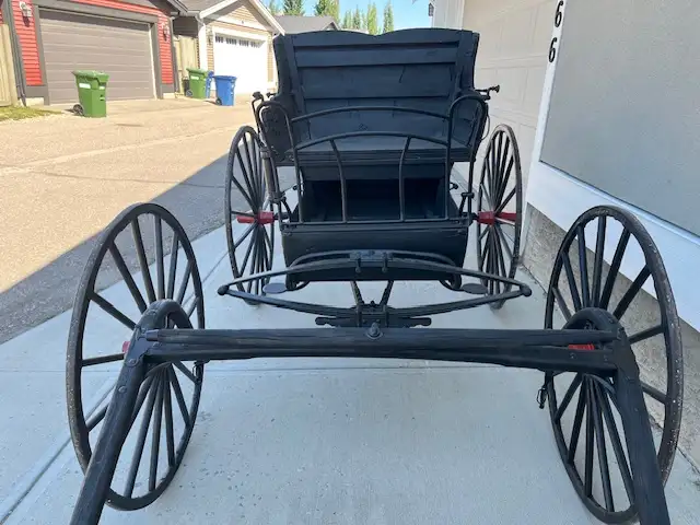 Horse Drawn Buggy - Photo 2