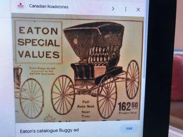 Horse Drawn Buggy - Photo 7