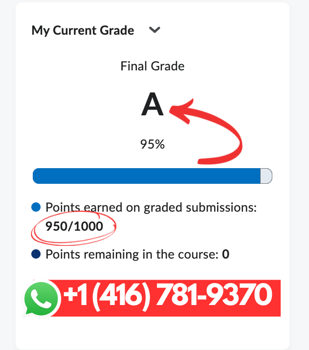 Assignment Help | Homework Help | Essay Help | Full class help - Photo 4