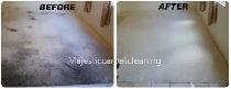 Best Home Carpet,Rug and Couch_Cleaning - Photo 4
