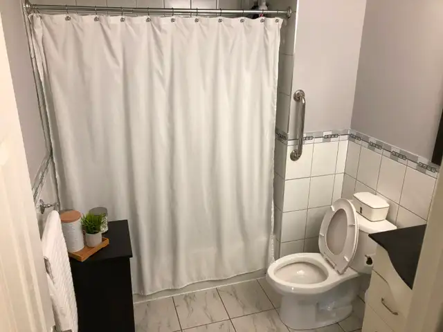 1 Bed 1 Bath - Beautiful, Bright, Ground-Level Unit - Photo 4
