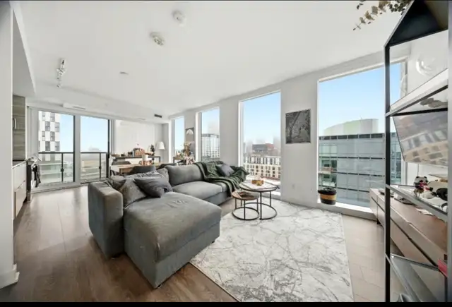 Grey Sectional Sofa with Chaise