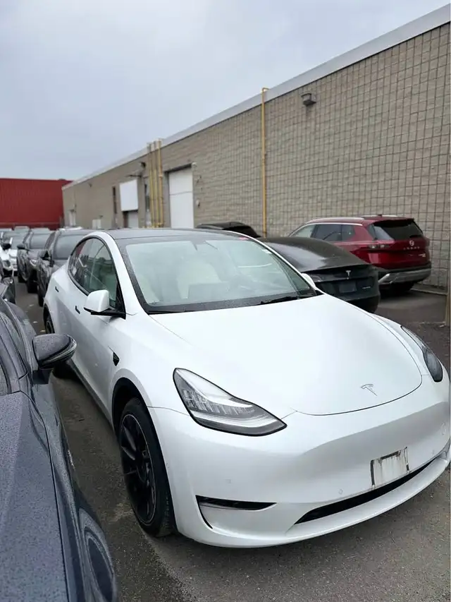 2021 Tesla Model Y Dual Motor AWD White on White