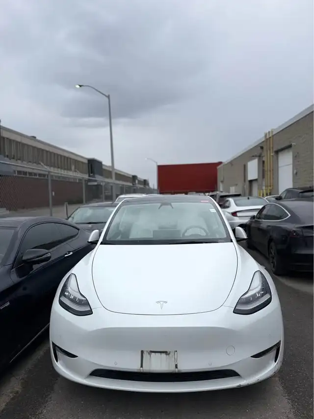 2021 Tesla Model Y Dual Motor AWD White on White - Photo 2