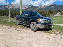 2014 Ford F-150 - Photo 3