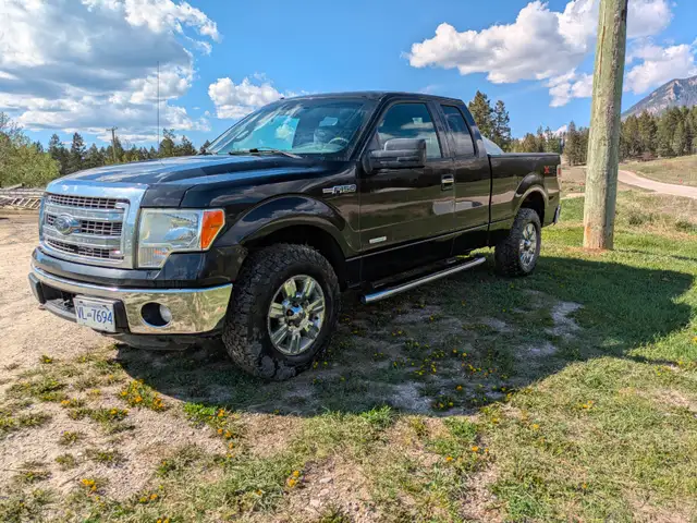 2014 Ford F-150 - Photo 8