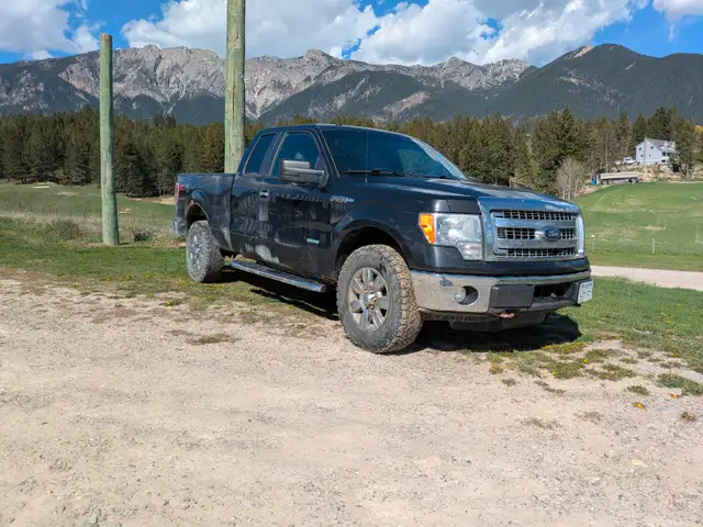 2014 Ford F-150 - Photo 10