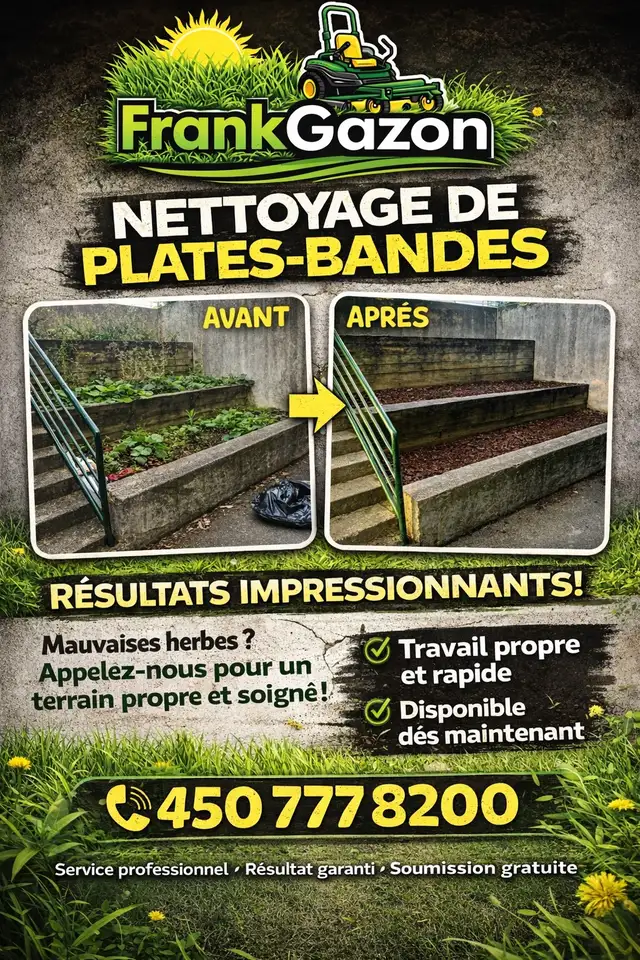 Tonte de Gazon et Entretien Extérieur - Photo 3