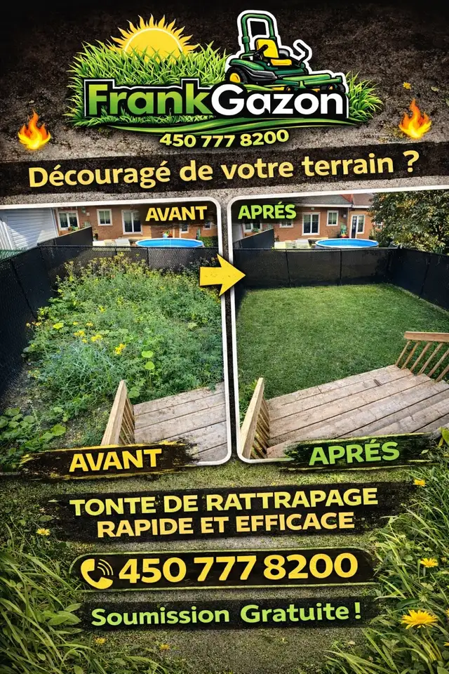 Tonte de Gazon et Entretien Extérieur - Photo 5