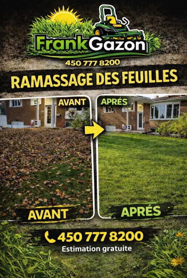 Tonte de Gazon et Entretien Extérieur - Photo 6