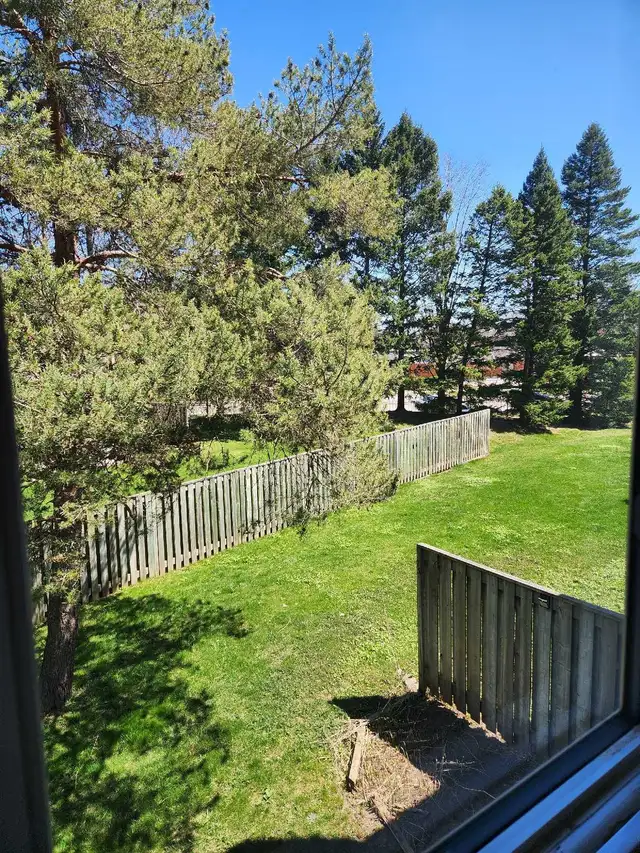 Room For Rent In House - Photo 10