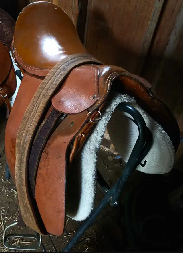 English Saddle  and Tack