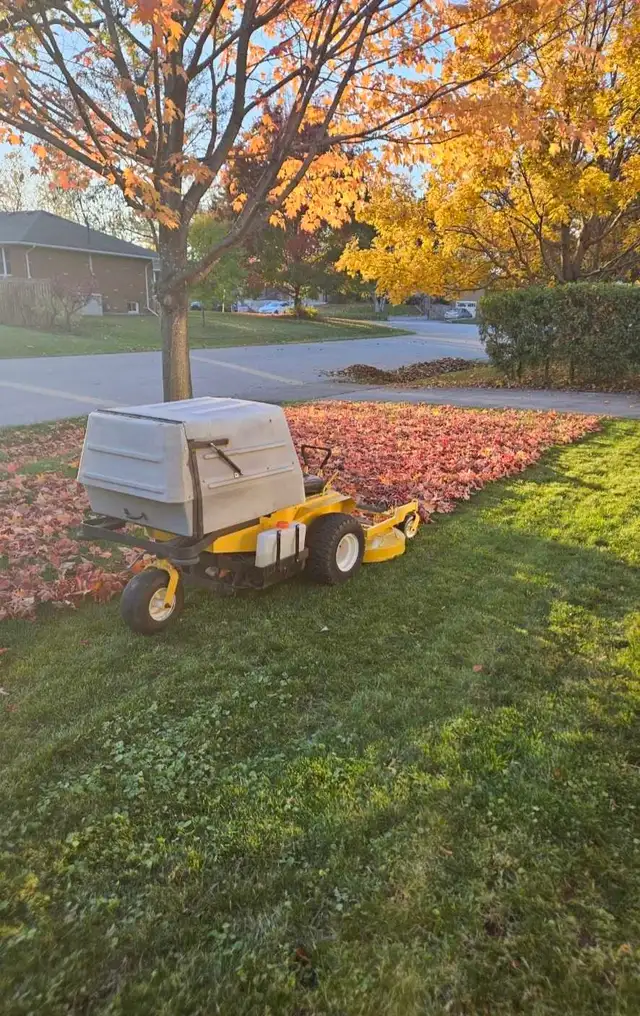 Walker Mower - 1600hrs