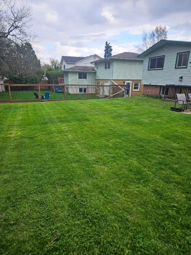 Walker Mower - 1600hrs - Photo 3