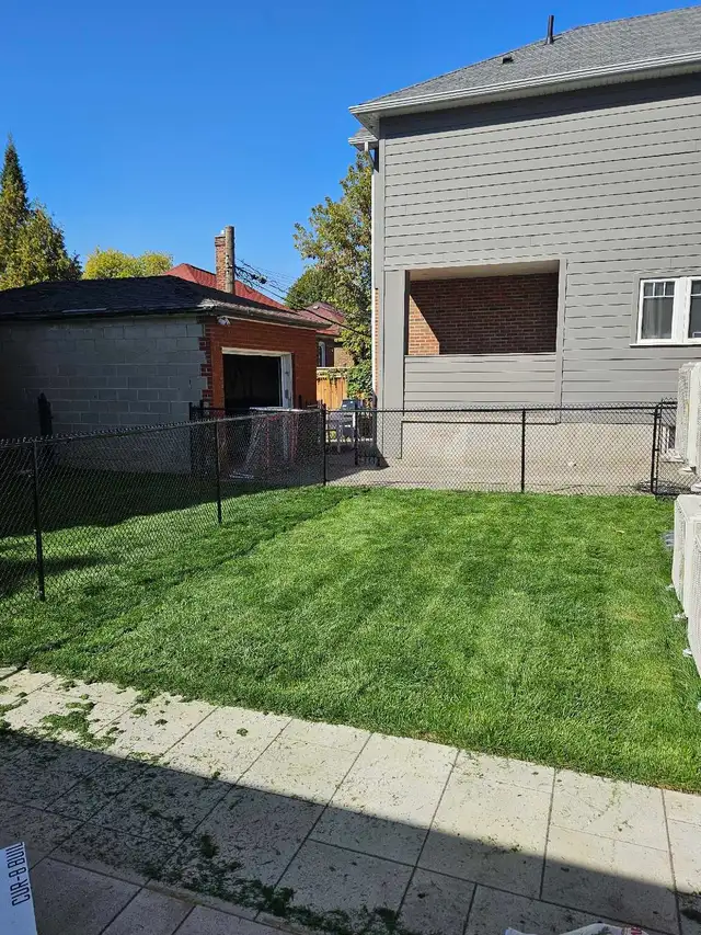 grass cutting