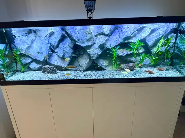 Aquarium 3-D background