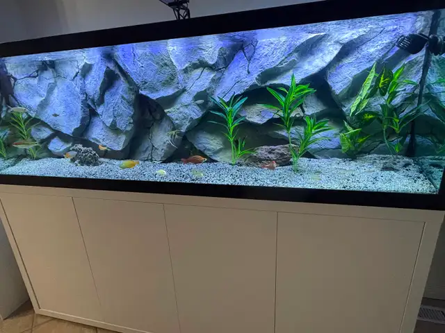 Aquarium 3-D background - Photo 2