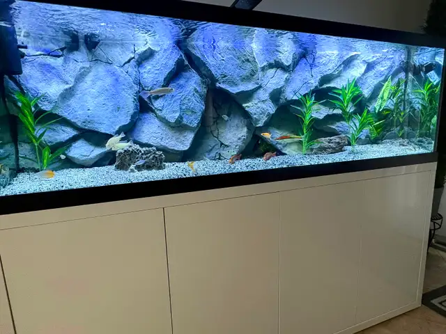 Aquarium 3-D background - Photo 3