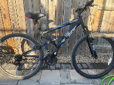 Bear mountain bike hyper