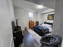1000 sq. ft New 2 bedroom 9 ft ceiling basement apartment - Photo 7