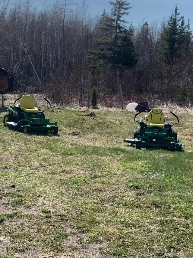 grass cutting