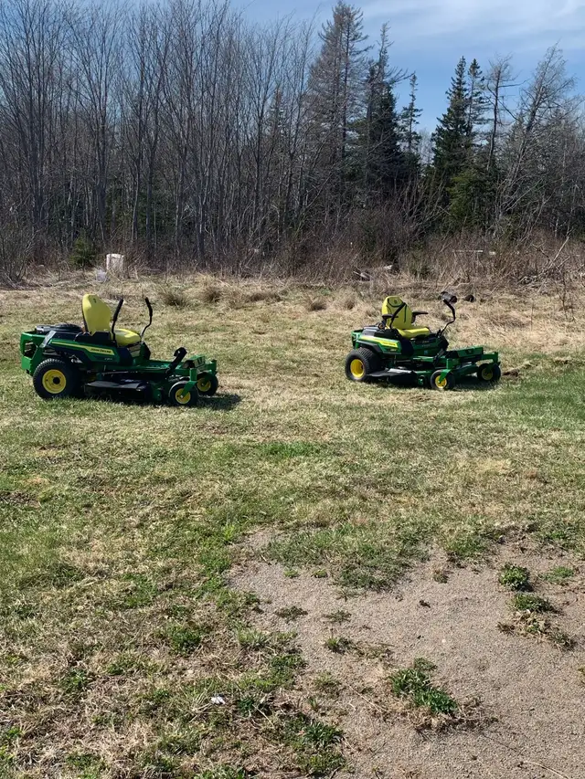 grass cutting - Photo 2