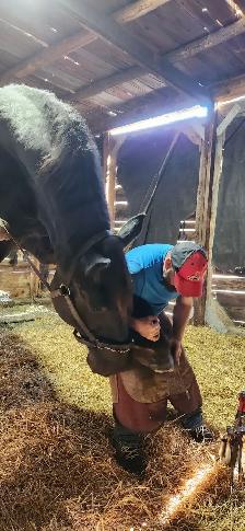 Equestrian shoe services - Photo 10