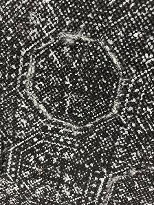 8’ round Surya area rug - Photo 3