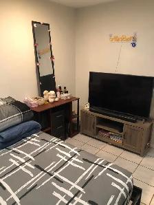 2 Bed/1 Bath with 2 Parking Basement Apartment In Mississauga - Photo 8