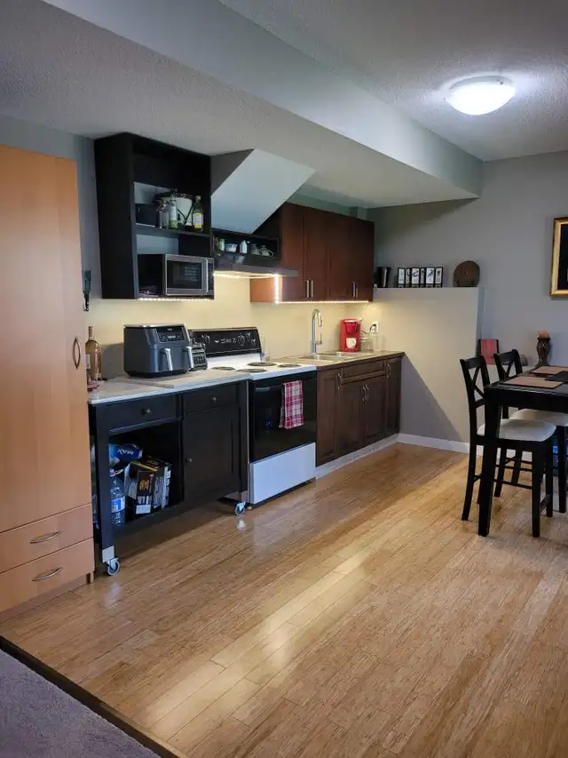 2 bedroom walkout basement suite available now - Photo 5