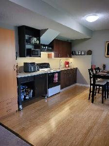 2 bedroom walkout basement suite available now - Photo 5