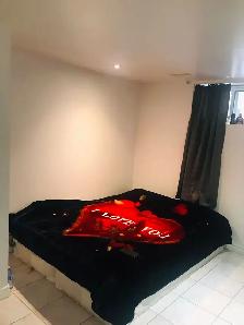 Two Bedroom Basement apartment for rent in Scarborough - Photo 5