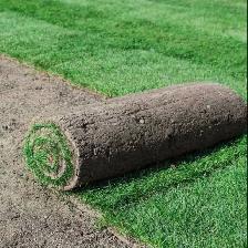 Sod installation
