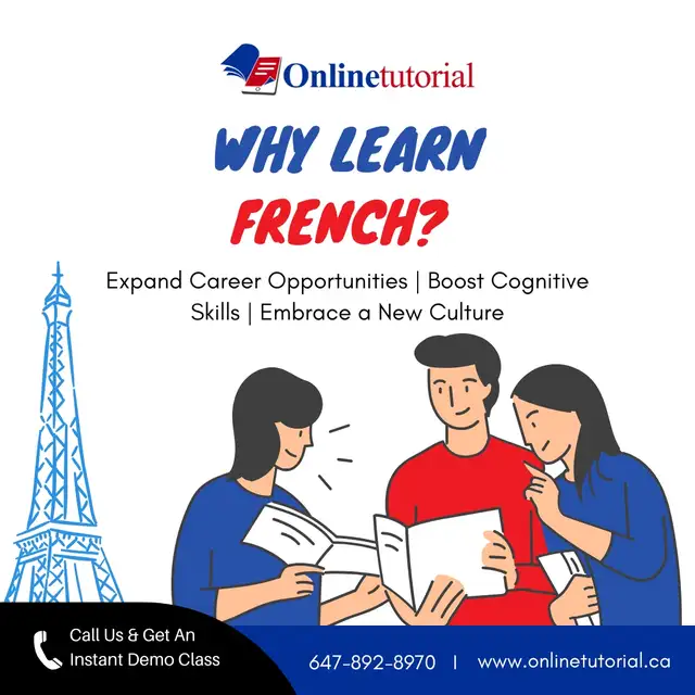 Online Tutoring for Math, Science, English & French - Photo 4