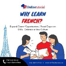Online Tutoring for Math, Science, English & French - Photo 4