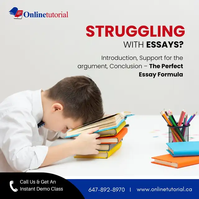 Online Tutoring for Math, Science, English & French - Photo 7
