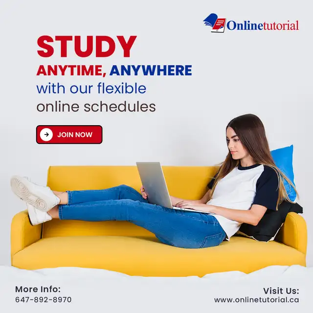 Online Tutoring for Math, Science, English & French - Photo 9