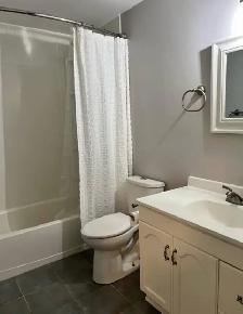 Beautiful 1 Bed.  1 Bath.  1 full kitchen suite Available - Photo 4